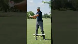 Golf Backswing: Arm Lift vs. Body Lift for Power