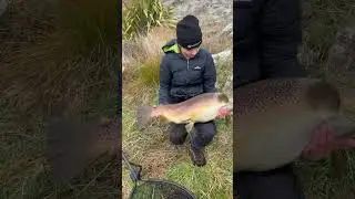 25lb Brown Trout, caught by Tyson in the Twizel canals. #twizel #browntrout #trout #fishing #nz #rv