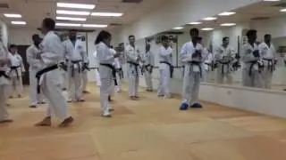 Sifu Vizzio teaching kicking technique