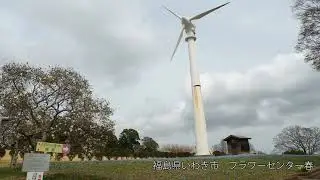 2025年4月フラワーセンター春