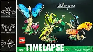 LEGO IDEAS The Insect Collection 21342 | TIMELAPSE