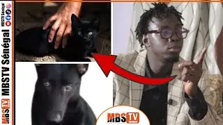 XAM XAM XAMLÉ N°10 / Batouta Sa Youta ak Cherif Hassana Diop 2743 #MBSTVSénégal