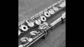 [FREE] Boom Bap Sample Pack | Flute Loop 2025