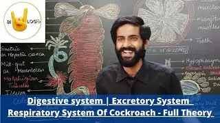 Digestive system| Excretory System| Respiratory System of Cockroach | Full theory | Boards and NEET