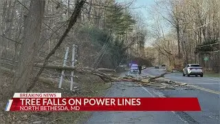 Heavy winds cause trees to fall, wires down, brush fire in Montgomery County