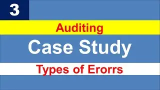 Type of Errors in Auditing  - Case Study