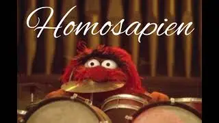 HOMOSAPIEN - Azalea Park