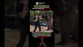 Un combattimento selvaggio in perfetto stile russo
