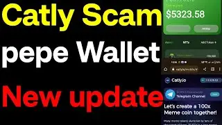 Catly Scam করলো? pepe wallet New update