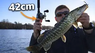 Trolling GIANT Lures in Search of Big Pike!