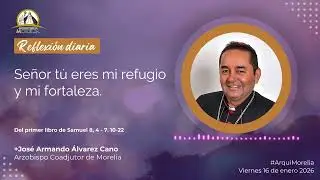 Reflexión diaria, viernes 16 de enero 2026