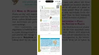 Nutrition in plants