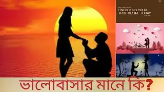 ভালোবাসার মানে কি? | MindnMatter | What is Love | Meaning of Love
