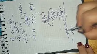 مراجعة la particella Ne/Ci.