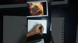 Drawing practice in a short free time 3