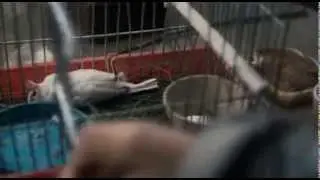 Мы, оставшиеся. Vi der blev tilbage (2008) Русская озвучка (Александр Райдер)
