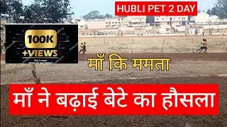 Group d hubli pet second day