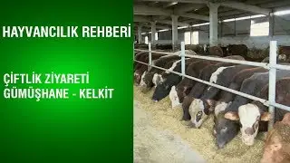 Hayvancılık Rehberi - Çiftlik Ziyareti / Gümüşhane - Kelkit