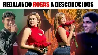 Giving roses to strangers 🌹 Valentine's Day special | SharonWinner