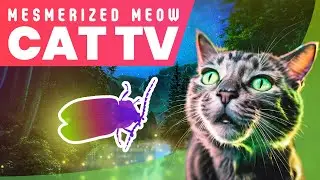 CAT TV - FIREFLY FOREST 🌳✨😺 (GAME FOR CATS TO WATCH)