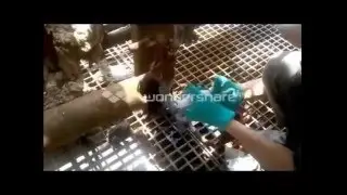 Active Steam Pipe SealXpert Composite Leak Repair Case 1