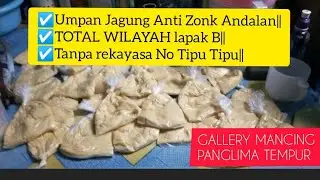 Juara TOTAL WILAYAH lapak B || Pakai Umpan Jagung Anti Zonk || Tanpa rekayasa || Dijamin Strike 100%