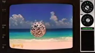 1987 - Air Canada Endless Summer