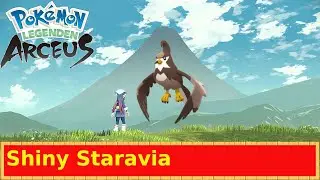 Shiny Staravia ✨ Pokemon Legenden Arceus/ Pokemon Legends Arceus