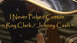 I Never Picked Cotton ~ Roy Clark / Johnny Cash ~ #pgprojex #royclark #johnnycash #acousticcover