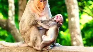 Poor Little Mila Cries as Mother Malika Strongly Refuses Her Request