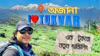 কাঞ্চনজঙ্ঘা দেখতে দার্জিলিং থেকে হেঁটেই পৌঁছে গেলাম | Tukvar Tea Gardens | Mitma Home Stay | Ep - 2