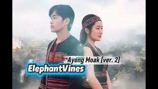 ElephantVibes  - Ayong Mơak [ver. 2]
