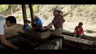 anepdotas durante el procesa de la ca&ntilde;a  esto en la aldea El Sitio La union Lempira