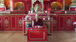 Applying the Remedy - A Talk by Lama Zangmo
