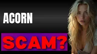 Acorn Finance Review  Is AcornFinancecom Legit or a Scam