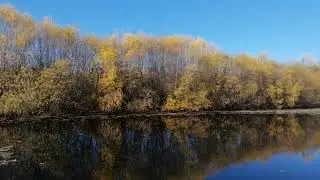 The beauty of forest wetland in autumn 2025/09/27 09:09