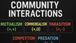 Community interaction/population interaction NEET /12th /BSC  By supriya quick revision 