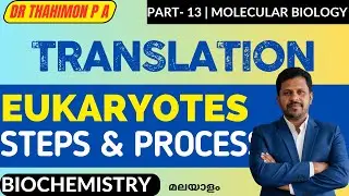 Translation in Eukaryotes Malayalam Protein Synthesis In Eukaryotes Malayalam Steps Process