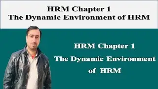HRM Chapter 1: The Dynamic Environment of HRM | DeCenzo and Stephen P. Robbins