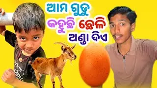 😂 ଆମ ଗୁଡୁ କହୁଛି ଛେଳି ଅଣ୍ଡା ଦିଏ | Funny Odia Kid Video | 🐐🥚 Goat Laying Eggs?! Kid Logic Level 💯| 