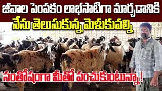 జీవాల పెంపకం లాభసాటిగా మార్చడానికి మెళకువలు | Sheep & Goat Farming |  Raithe Raju