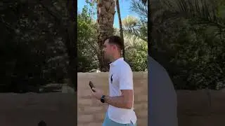 Al Ain Oasis - UAE Travel Destination #travel #travelvlog #uae