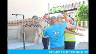 A Whale of a Time!