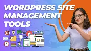 Top 5 WordPress Site Management Tools 2026