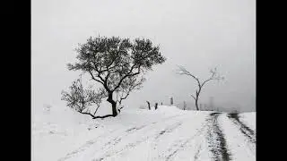 چیزهایی که از دست دادیم، هنوز گرم‌مان می‌کنند