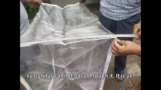 How to prevent the spread of Bursaphelenchus xylophilus?