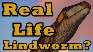A Real Life Lindworm? - Plateosaurus Exhibit Speedbuild (Prehistoric Kingdom)