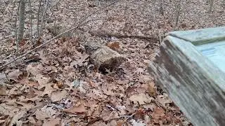 Exploring mine ruins at Moraine State Park!