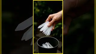 Cut Plastic in Your Garden (3 Easy Swaps)