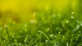 Niin kaunis on maa